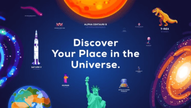 universe in a nutshell poster